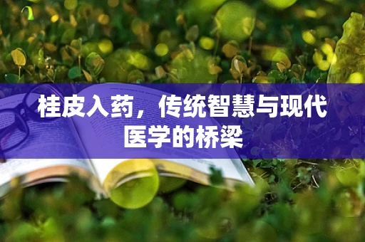 桂皮入药，传统智慧与现代医学的桥梁