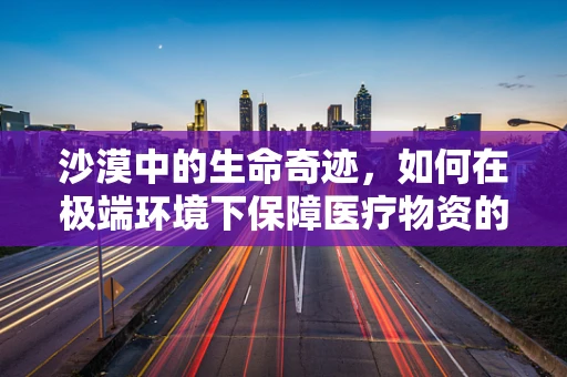 沙漠中的生命奇迹，如何在极端环境下保障医疗物资的精准翻译？
