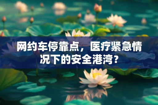 网约车停靠点，医疗紧急情况下的安全港湾？