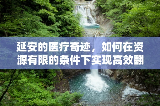 延安的医疗奇迹，如何在资源有限的条件下实现高效翻译？