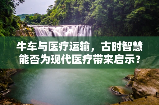 牛车与医疗运输，古时智慧能否为现代医疗带来启示？
