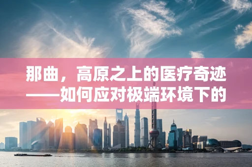 那曲，高原之上的医疗奇迹——如何应对极端环境下的医疗挑战？