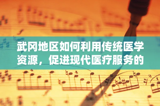 武冈地区如何利用传统医学资源，促进现代医疗服务的创新融合？