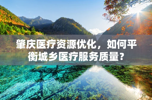 肇庆医疗资源优化，如何平衡城乡医疗服务质量？