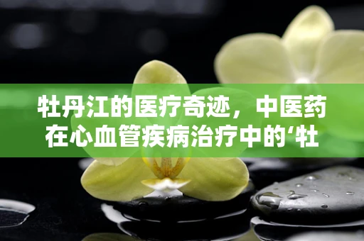 牡丹江的医疗奇迹，中医药在心血管疾病治疗中的‘牡丹’绽放