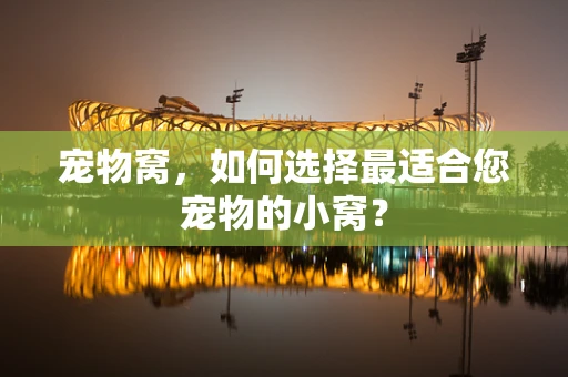 宠物窝，如何选择最适合您宠物的小窝？