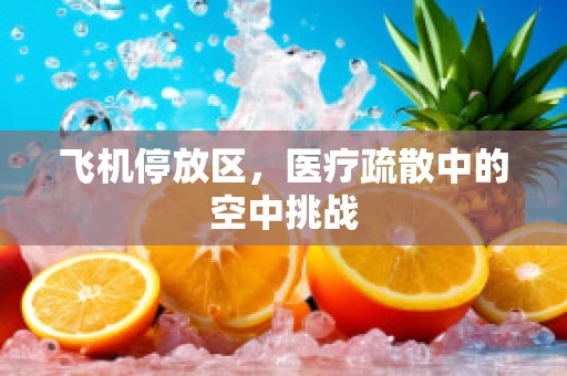 飞机停放区，医疗疏散中的空中挑战