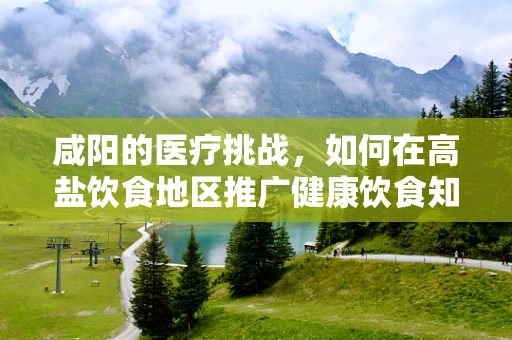 咸阳的医疗挑战，如何在高盐饮食地区推广健康饮食知识？