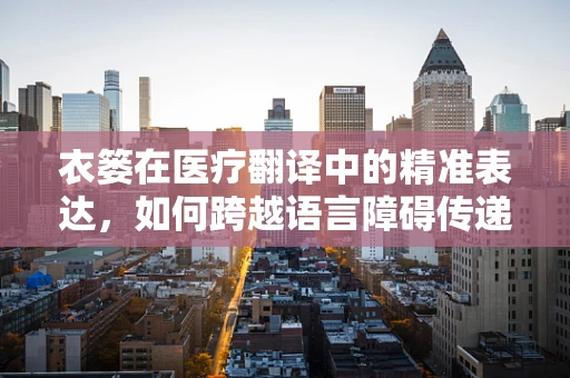 衣篓在医疗翻译中的精准表达，如何跨越语言障碍传递患者隐私信息？