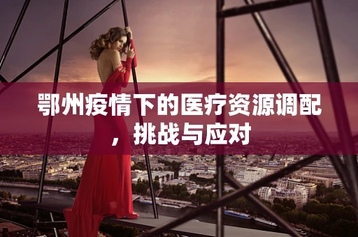 鄂州疫情下的医疗资源调配，挑战与应对
