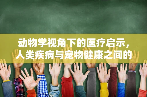 动物学视角下的医疗启示，人类疾病与宠物健康之间的隐秘联系