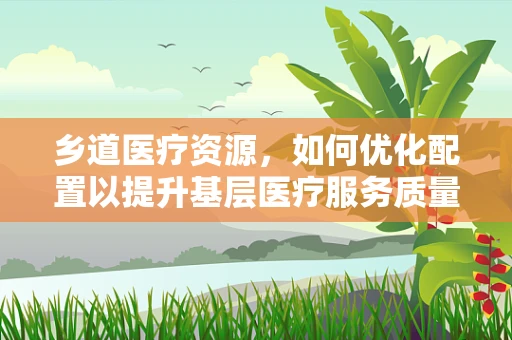 乡道医疗资源，如何优化配置以提升基层医疗服务质量？