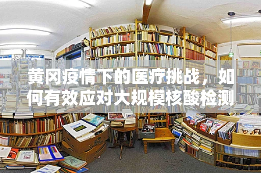 黄冈疫情下的医疗挑战，如何有效应对大规模核酸检测的翻译需求？