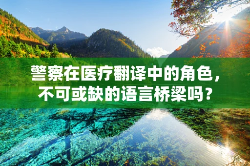 警察在医疗翻译中的角色，不可或缺的语言桥梁吗？