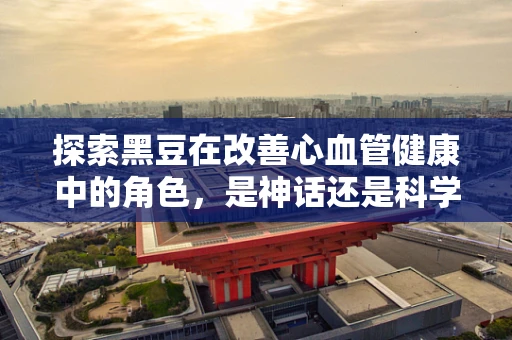 探索黑豆在改善心血管健康中的角色，是神话还是科学？