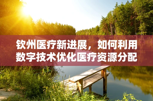 钦州医疗新进展，如何利用数字技术优化医疗资源分配？