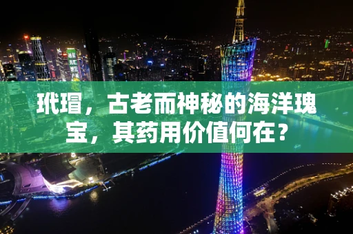 玳瑁，古老而神秘的海洋瑰宝，其药用价值何在？
