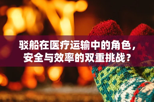 驳船在医疗运输中的角色，安全与效率的双重挑战？