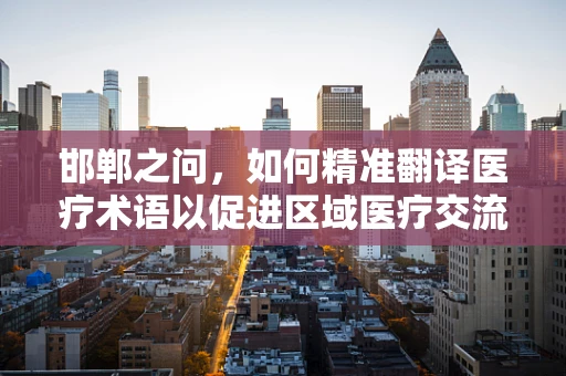 邯郸之问，如何精准翻译医疗术语以促进区域医疗交流？