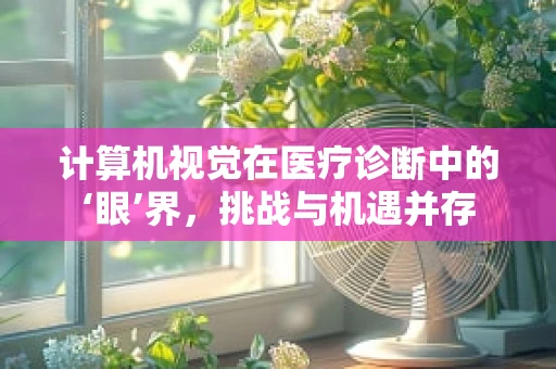 计算机视觉在医疗诊断中的‘眼’界，挑战与机遇并存