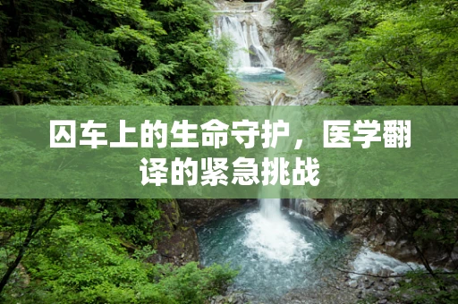 囚车上的生命守护，医学翻译的紧急挑战