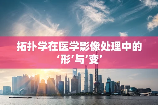 拓扑学在医学影像处理中的‘形’与‘变’