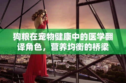 狗粮在宠物健康中的医学翻译角色，营养均衡的桥梁