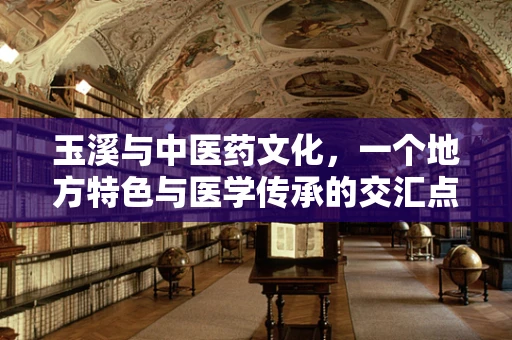玉溪与中医药文化，一个地方特色与医学传承的交汇点