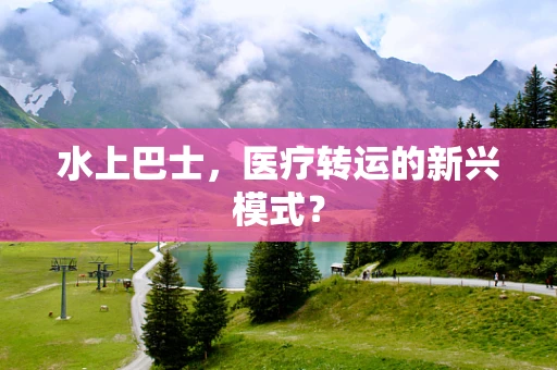 水上巴士，医疗转运的新兴模式？