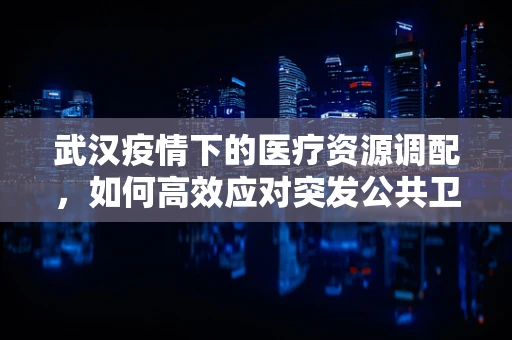 武汉疫情下的医疗资源调配，如何高效应对突发公共卫生事件？