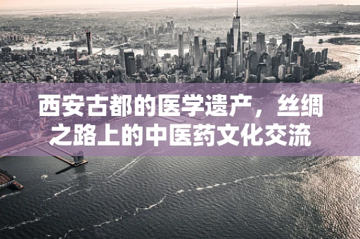 西安古都的医学遗产，丝绸之路上的中医药文化交流