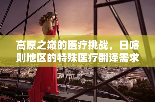 高原之巅的医疗挑战，日喀则地区的特殊医疗翻译需求