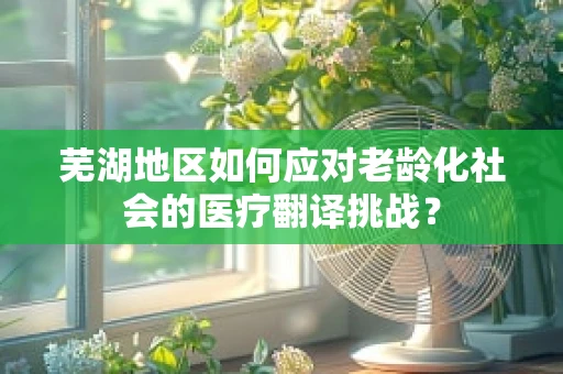 芜湖地区如何应对老龄化社会的医疗翻译挑战？