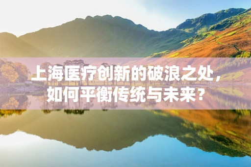 上海医疗创新的破浪之处，如何平衡传统与未来？
