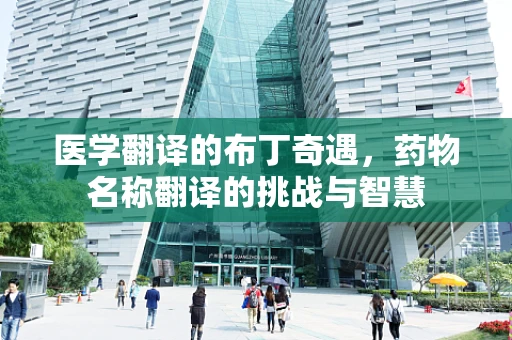 医学翻译的布丁奇遇，药物名称翻译的挑战与智慧