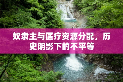 奴隶主与医疗资源分配，历史阴影下的不平等