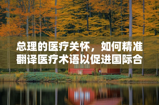 总理的医疗关怀，如何精准翻译医疗术语以促进国际合作？