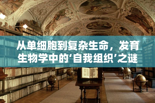 从单细胞到复杂生命，发育生物学中的‘自我组织’之谜