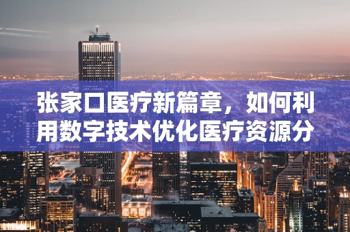 张家口医疗新篇章，如何利用数字技术优化医疗资源分配？