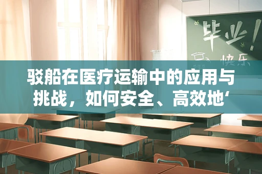 驳船在医疗运输中的应用与挑战，如何安全、高效地‘运送’生命？