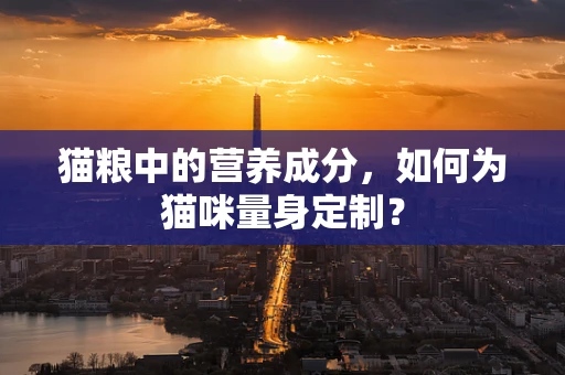 猫粮中的营养成分，如何为猫咪量身定制？