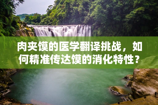 肉夹馍的医学翻译挑战，如何精准传达馍的消化特性？