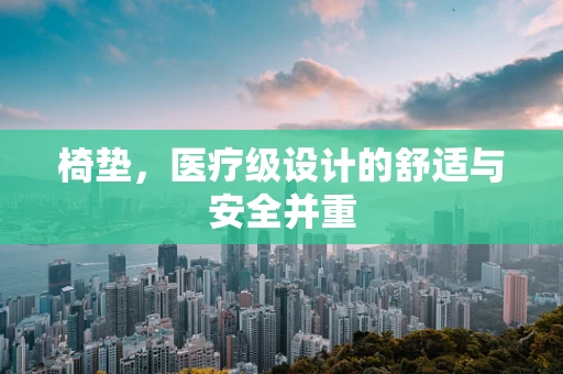 椅垫，医疗级设计的舒适与安全并重