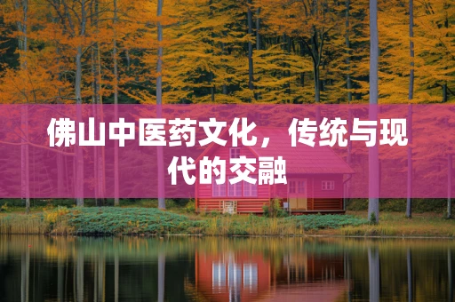 佛山中医药文化，传统与现代的交融