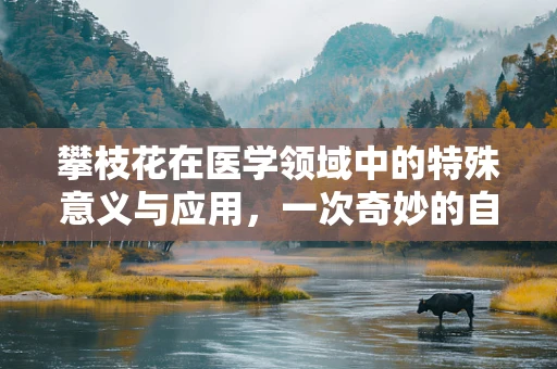 攀枝花在医学领域中的特殊意义与应用，一次奇妙的自然与健康之缘