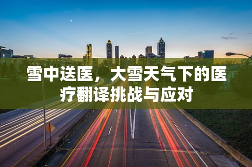 雪中送医，大雪天气下的医疗翻译挑战与应对