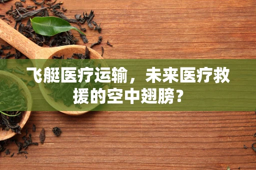 飞艇医疗运输，未来医疗救援的空中翅膀？