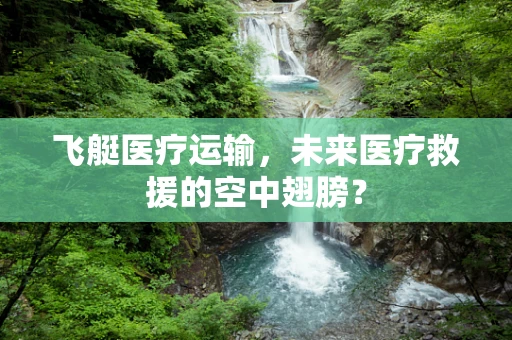 飞艇医疗运输，未来医疗救援的空中翅膀？