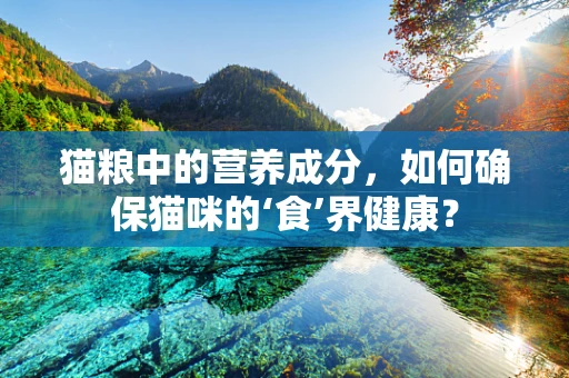 猫粮中的营养成分，如何确保猫咪的‘食’界健康？