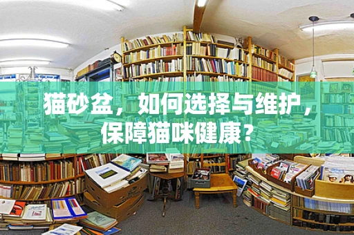 猫砂盆，如何选择与维护，保障猫咪健康？